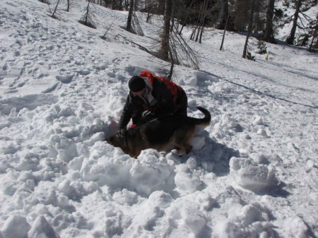 Izpiti za vodnike in reševalne pse GRZS - Vršič 2012